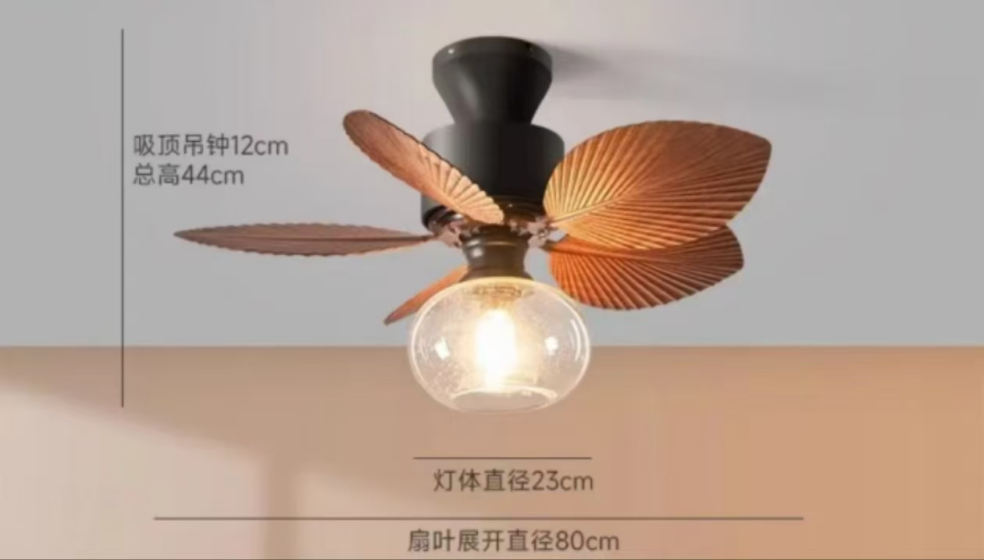 风扇灯3